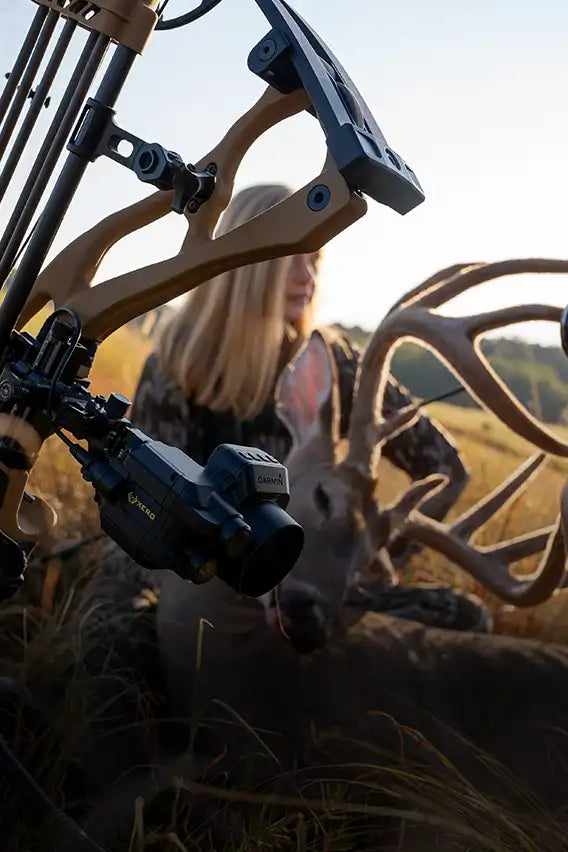 Whitetail